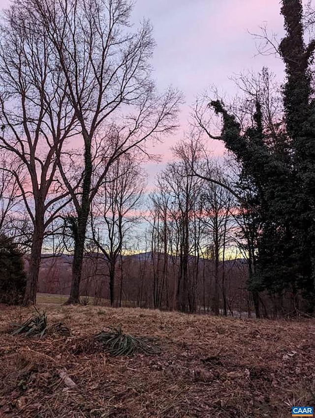 view of nature at dusk