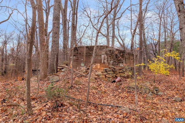 view of local wilderness