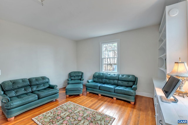 living room featuring light wood-type flooring