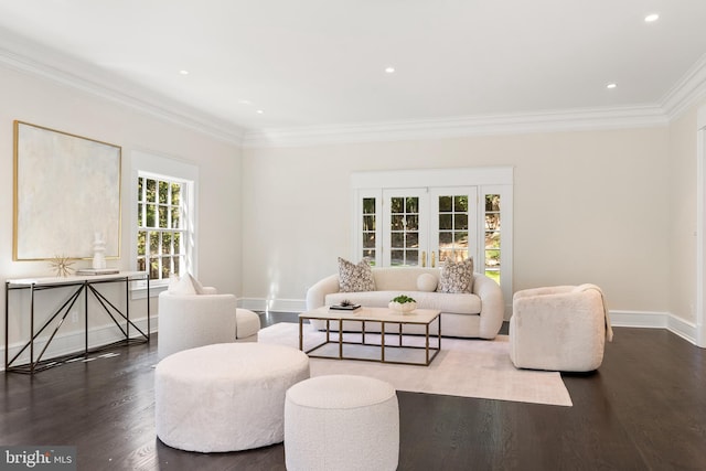 living room with crown molding and dark hardwood / wood-style floors