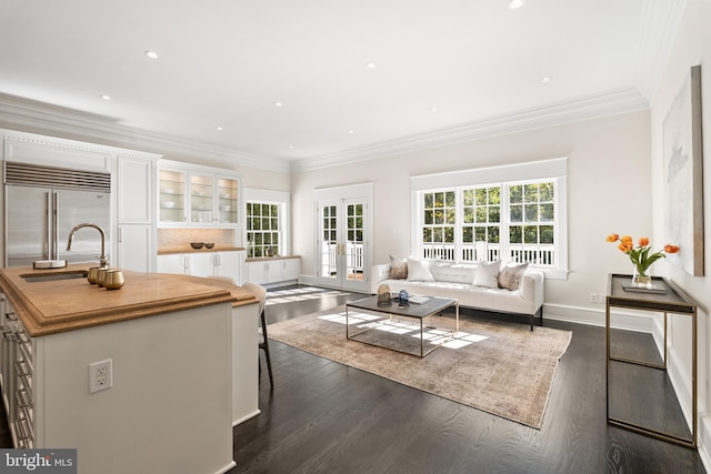 living room with ornamental molding, french doors, dark wood-type flooring, and sink