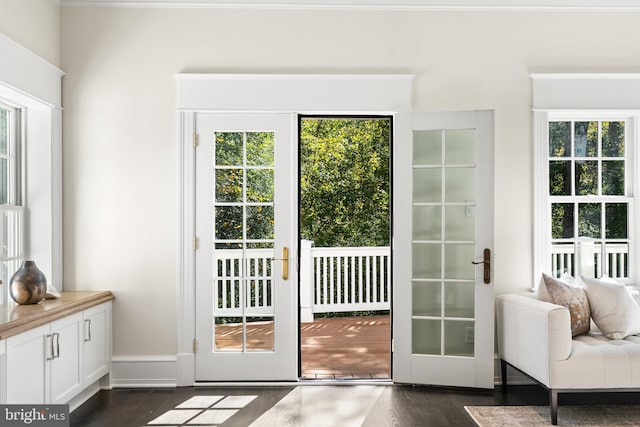 doorway to outside featuring french doors and dark wood-type flooring