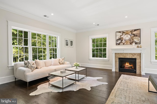 living room featuring a fireplace, ornamental molding, and dark wood-type flooring