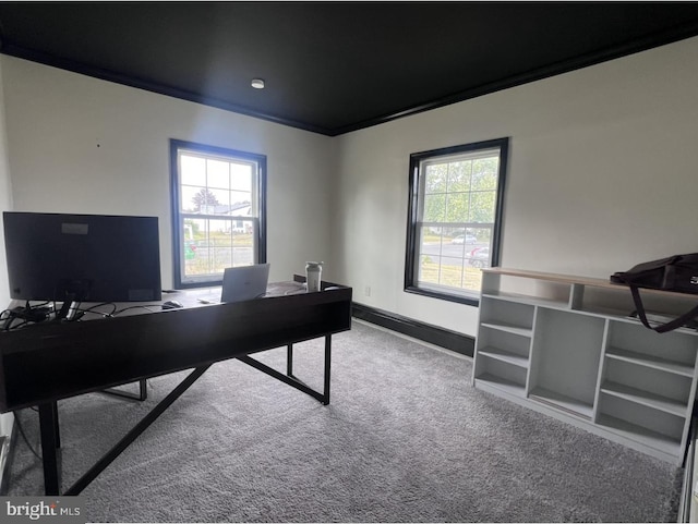 office area with a healthy amount of sunlight, carpet flooring, and ornamental molding