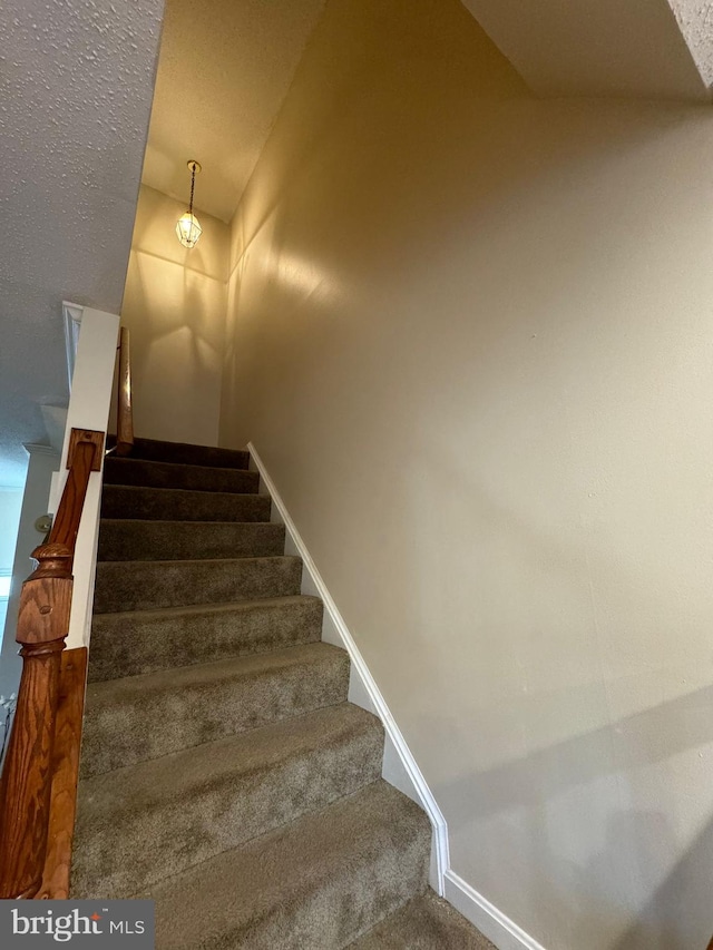 staircase featuring carpet