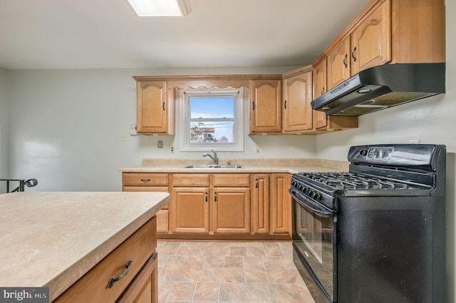 kitchen featuring black gas stove and sink