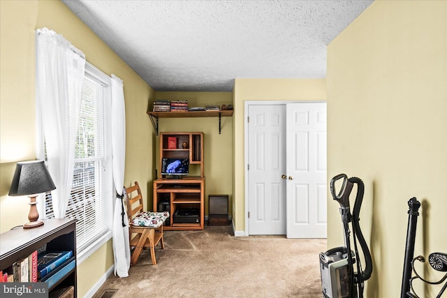 interior space with carpet floors and a textured ceiling