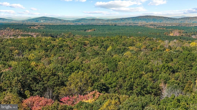 view of mountain feature