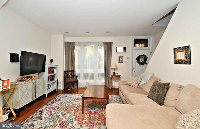 living room featuring dark hardwood / wood-style flooring