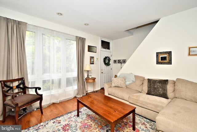 living room featuring hardwood / wood-style floors