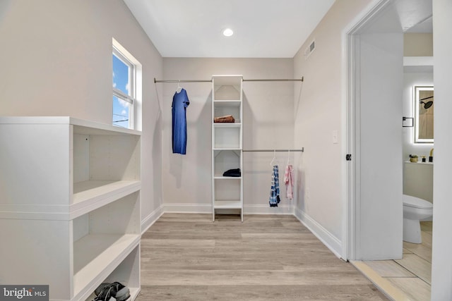 spacious closet featuring light wood-type flooring