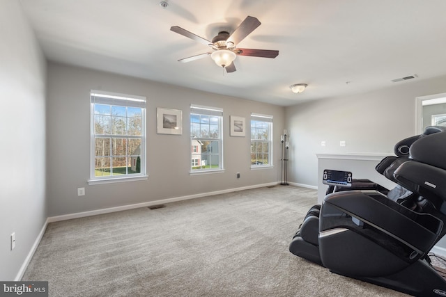 workout area with ceiling fan, plenty of natural light, and carpet