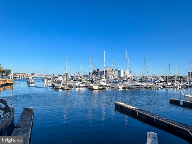 dock area featuring a water view