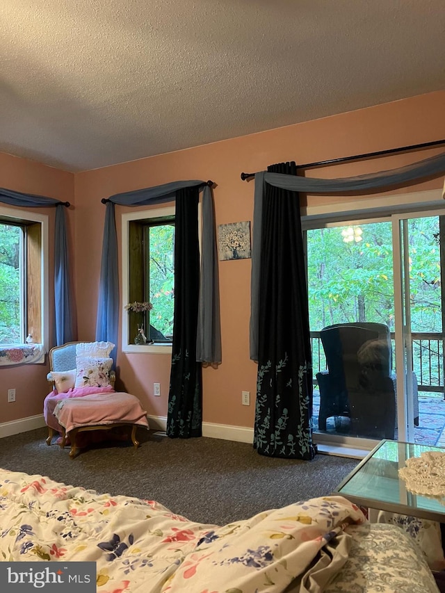 carpeted bedroom with a textured ceiling and access to outside