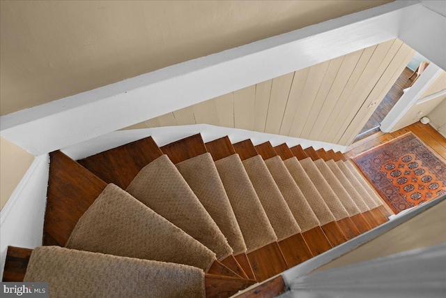 staircase with wood-type flooring