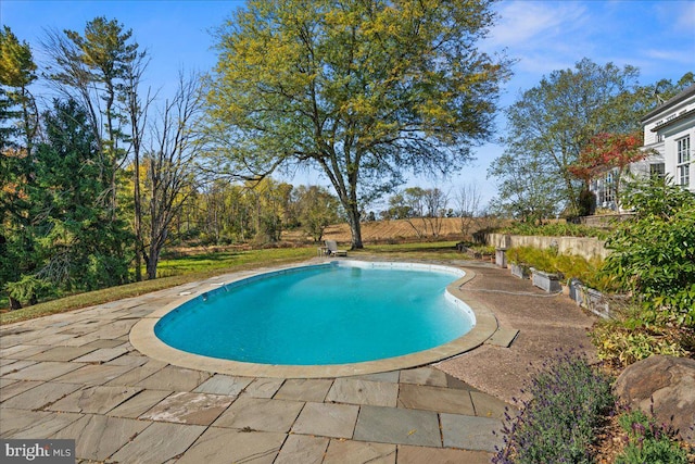 view of swimming pool with a patio area