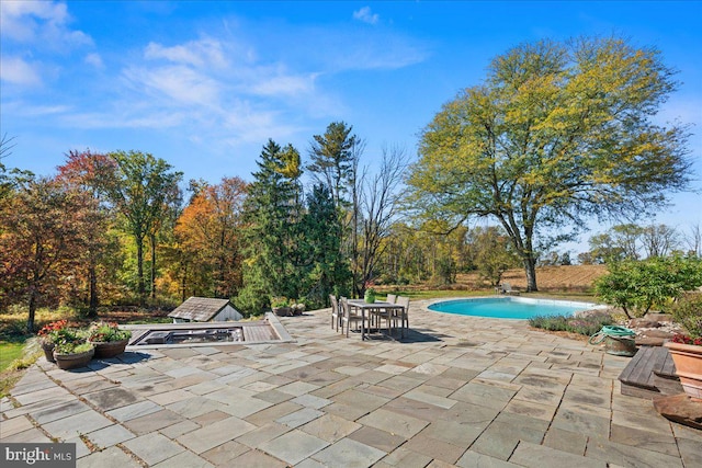 view of swimming pool featuring a patio area