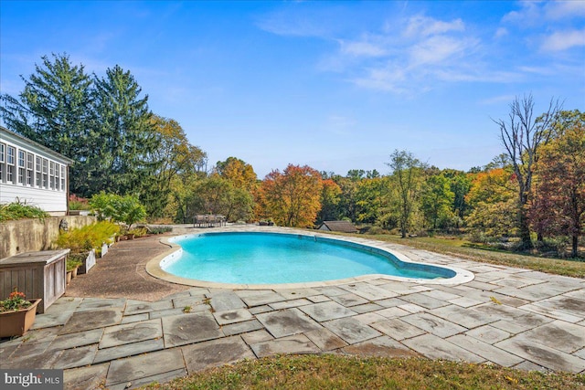 view of swimming pool featuring a patio area