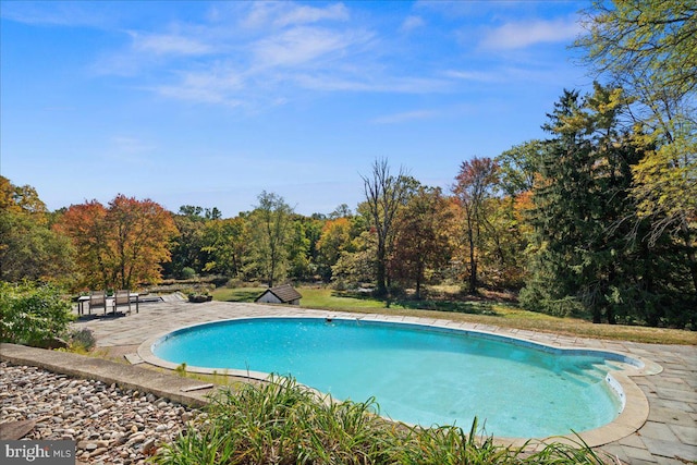 view of swimming pool featuring a patio area