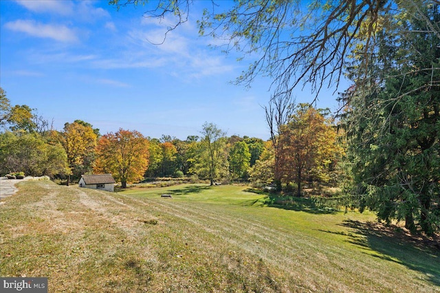 view of yard