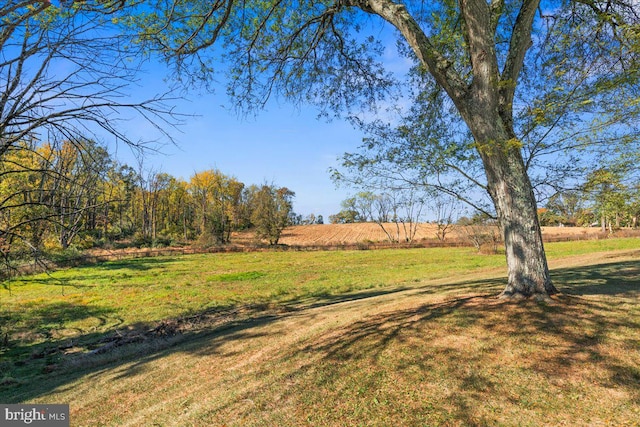 view of yard featuring a rural view