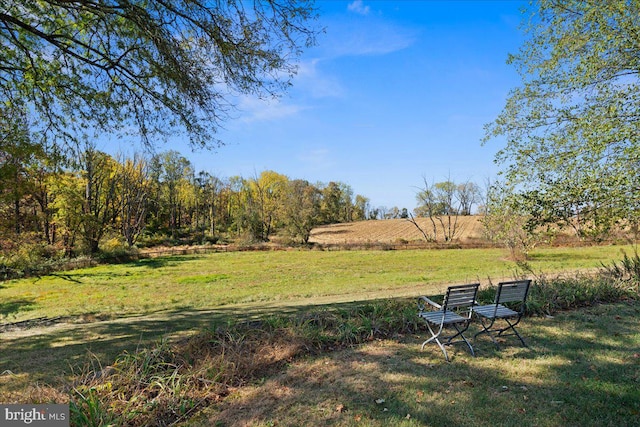 view of yard with a rural view