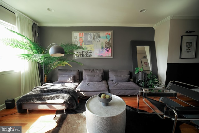 living room with wood-type flooring and crown molding