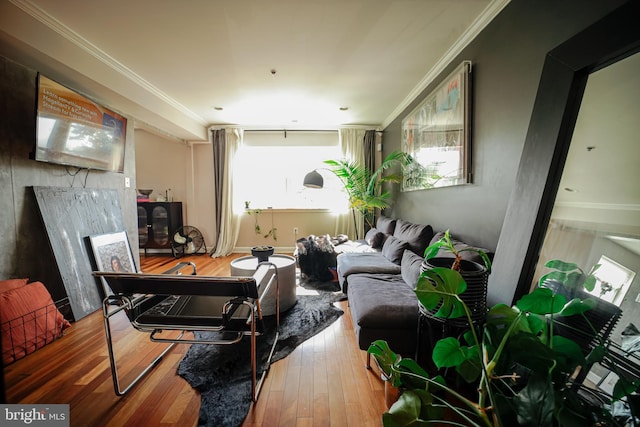 misc room with crown molding and hardwood / wood-style floors