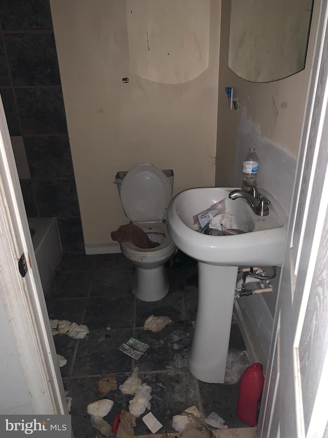 bathroom featuring a washtub and toilet