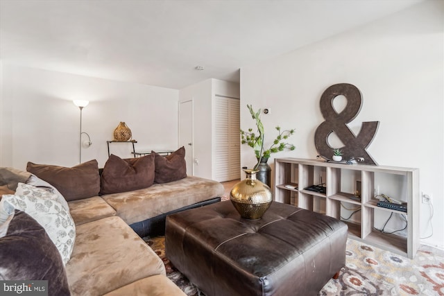 living room featuring wood-type flooring