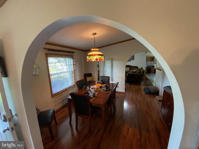 dining room with ornamental molding and dark hardwood / wood-style flooring