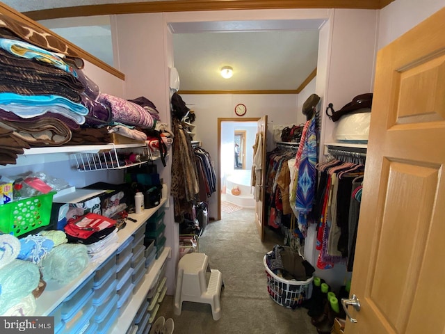 spacious closet with carpet floors