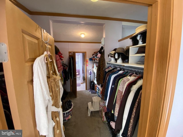 walk in closet with carpet floors