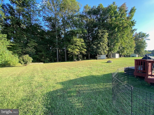 view of yard featuring a shed