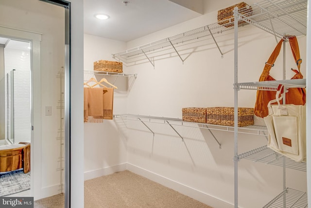 walk in closet featuring carpet floors