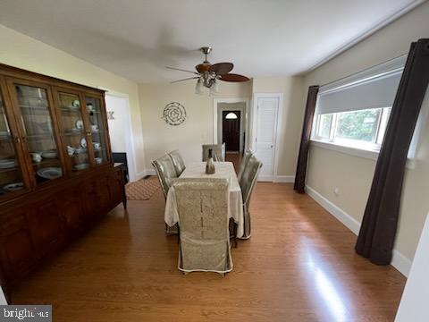 dining area featuring ceiling fan and wood-type flooring