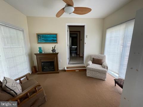 2826 Hoopers Island Rd, Church Creek, MD 21622 - living area with a ceiling fan, carpet, and a glass covered fireplace