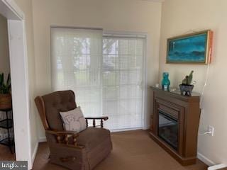 2826 Hoopers Island Rd, Church Creek, MD 21622 - living area with baseboards and a glass covered fireplace