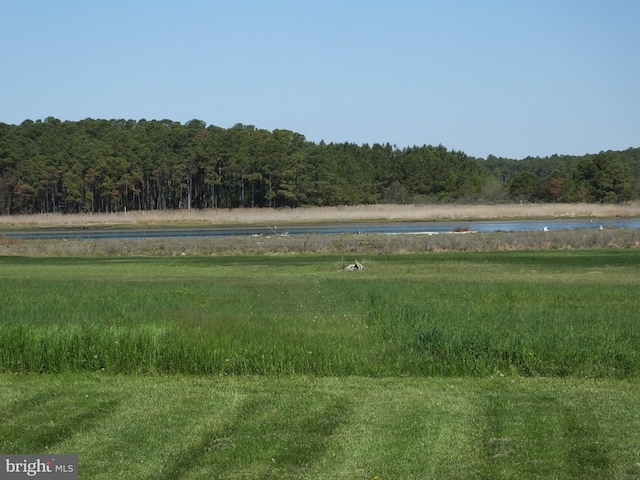 view of nature with a water view