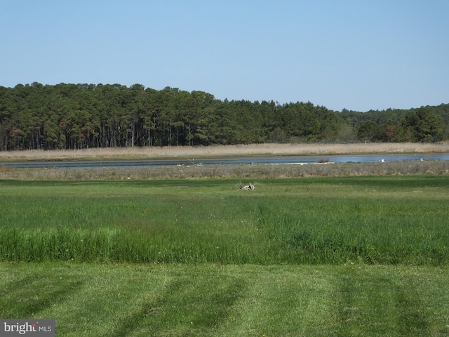 2826 Hoopers Island Rd, Church Creek, MD 21622 - property view of water with a view of trees