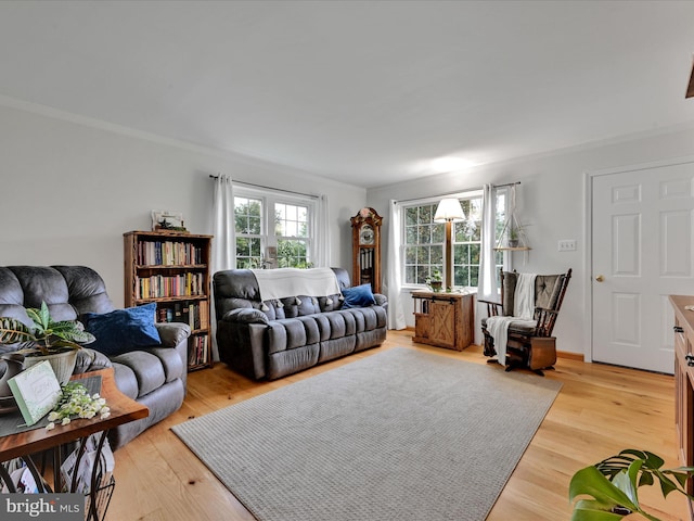 living room featuring light wood-type flooring