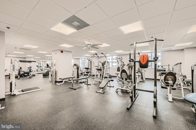 workout area with ceiling fan and a paneled ceiling