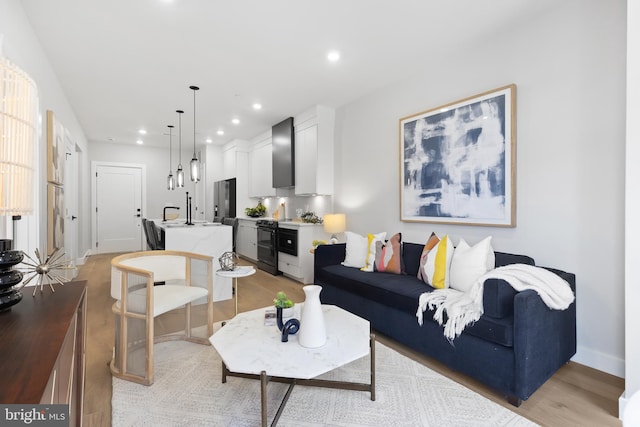 living room featuring light hardwood / wood-style floors and sink