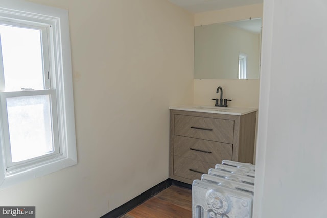 bathroom featuring vanity, hardwood / wood-style flooring, and a wealth of natural light