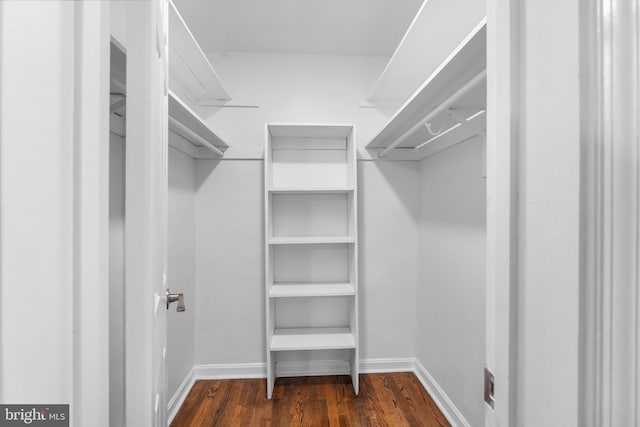 walk in closet featuring dark hardwood / wood-style floors