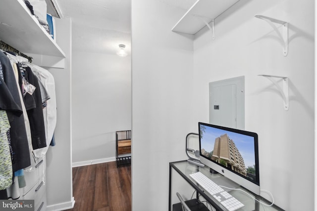 spacious closet with electric panel and dark hardwood / wood-style flooring