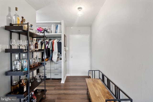 hall featuring dark wood-type flooring