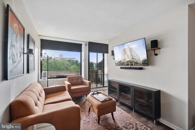 living room featuring dark hardwood / wood-style floors and a textured ceiling