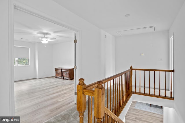 hallway featuring light wood-type flooring