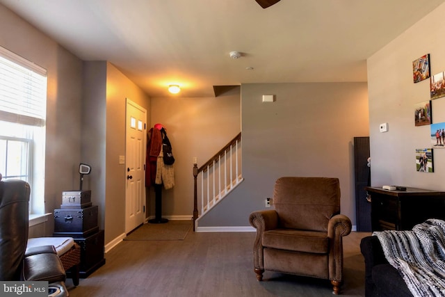 foyer entrance with dark hardwood / wood-style flooring